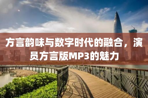 方言韵味与数字时代的融合，演员方言版MP3的魅力