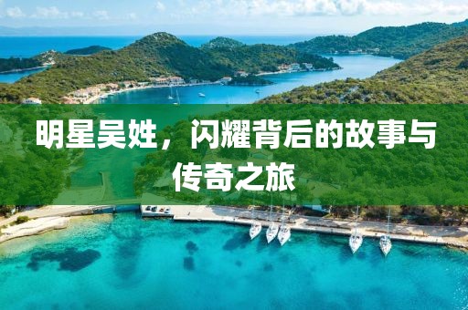明星吴姓，闪耀背后的故事与传奇之旅