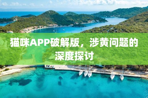 猫咪APP破解版，涉黄问题的深度探讨
