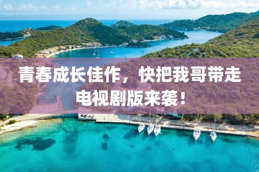 青春成长佳作，快把我哥带走电视剧版来袭！