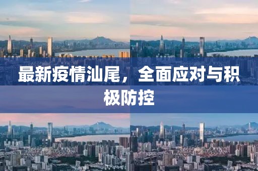 最新疫情汕尾，全面应对与积极防控