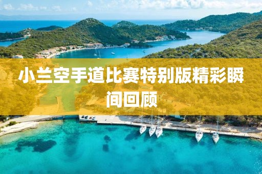 小兰空手道比赛特别版精彩瞬间回顾