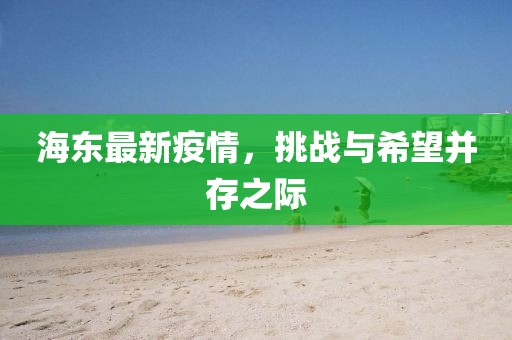 海东最新疫情，挑战与希望并存之际