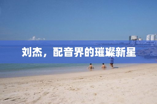 刘杰，配音界的璀璨新星