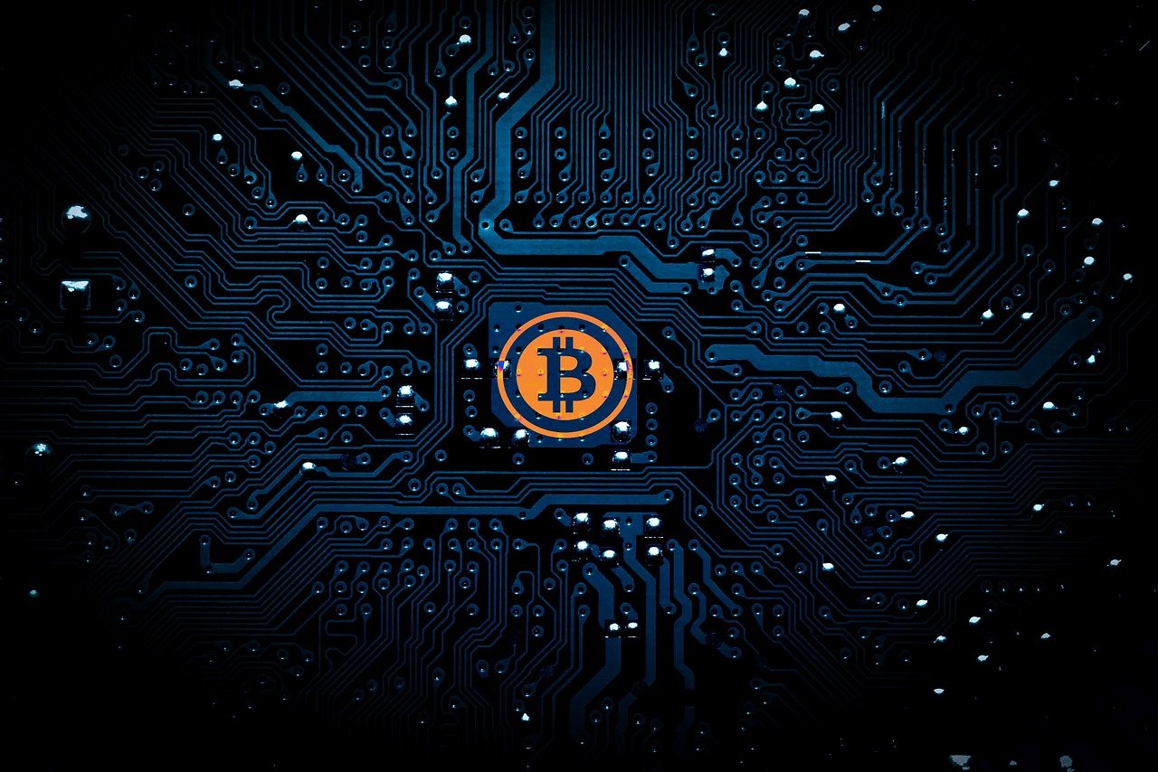 电子小报比赛，创意与技术的完美融合之战
