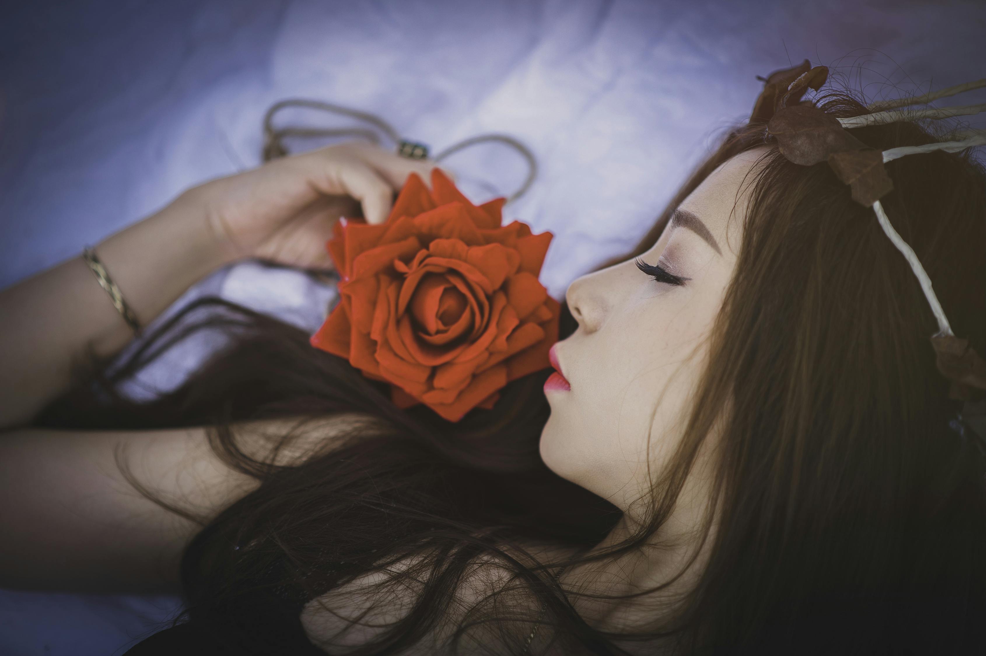 三月美女律师与韩国电影的魅力交融时刻