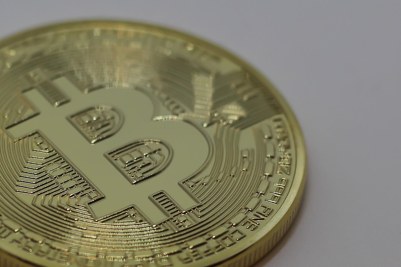 四月份黑番鸭价格行情分析与展望，市场动态及未来趋势预测